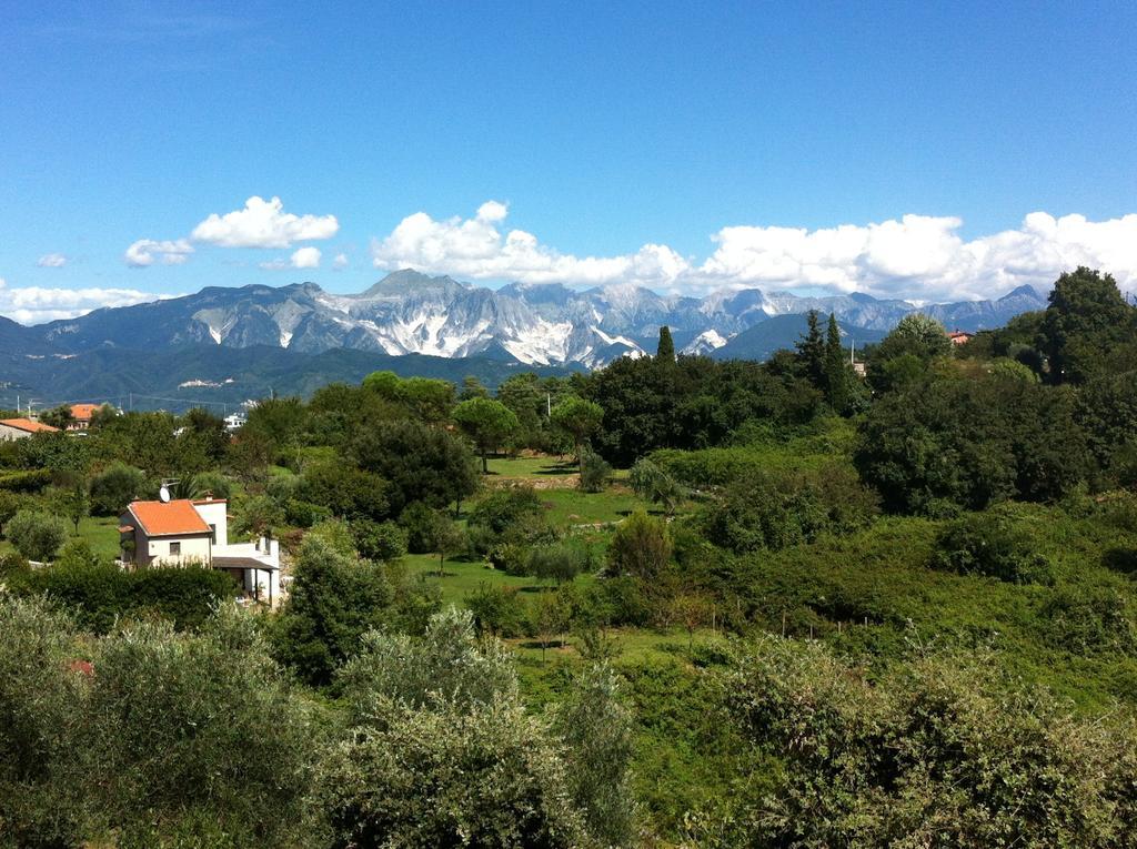 B&B Le Palme Ameglia Exteriér fotografie