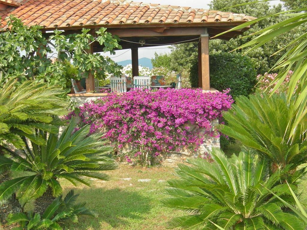 B&B Le Palme Ameglia Exteriér fotografie