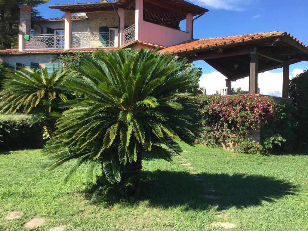 B&B Le Palme Ameglia Exteriér fotografie