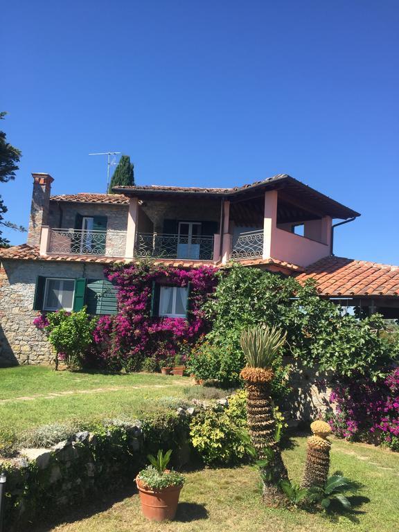 B&B Le Palme Ameglia Exteriér fotografie